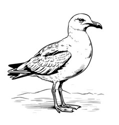 Seagull Bird Animal Sketch Engraving