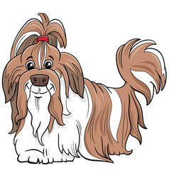 Shih Tzu Purebred Dog Cartoon