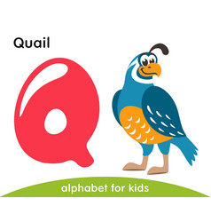 Pink Letter Q And Blue Quail