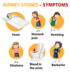 Kidney stones symptoms cartoon style infographic Vector Image