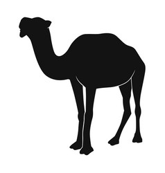 Black Camel Animal Cartoon