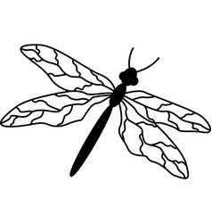 Flying Dragonfly For Coloring Book