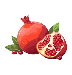 Ripe Pomegranate Juicy Slice