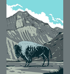 American Bison With Eagle Peak Mountain