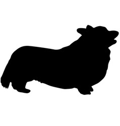 Welsh Corgi Dog Black Silhouette On White