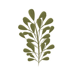 Leaves Nature Icon