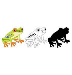 Cute Green Frog Cartoon Characters Set