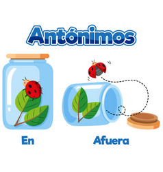 Antonym Word Card En And Afuera