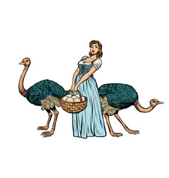 Ostrich Farm Eggs Woman Peasant Farmer