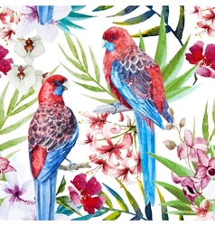 Rosella Bird Pattern