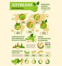 Soy And Soybean Infographics Beans Production