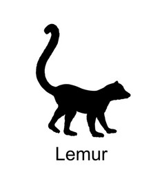 Lemur Monkey Silhouette