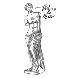 Venus De Milo Sculpture Drawn In Engraving