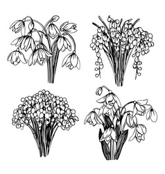 Snowdrop Flower Bouquet