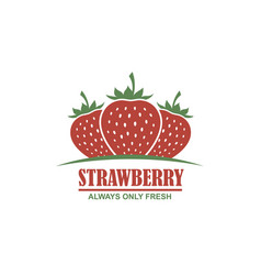 Strawberries Vector Images (over 100,000)