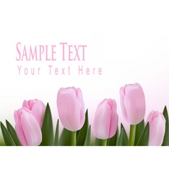 Red tulips isolated on white background close up Vector Image