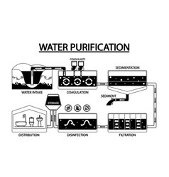 Black And White Infographics Showcasing Process