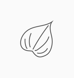 Leaf Icon