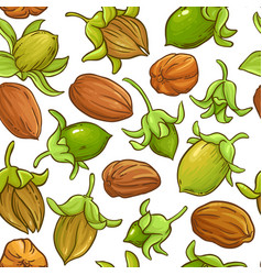 Jojoba Nuts Pattern On White Background