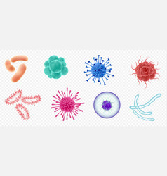 Viruses Germs And Bacteria Microorganism Types