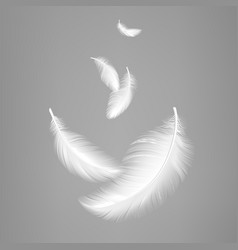 White Flying Realistic Feathers Bird Feather