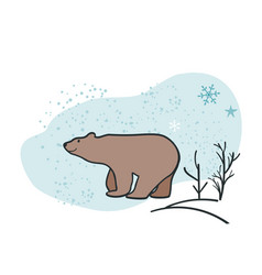 Brown Bear Walks Throuth The Winter Forest