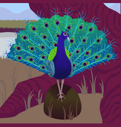 Peacock On A Tree