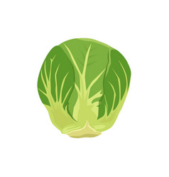 Flat Of Brussels Sprouts Isolated On White