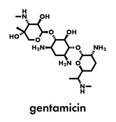 Gentamicin Antibiotic Drug Aminoglycoside Class