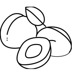 Plum Purple Slice Bunch Line Icon