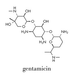 Gentamicin Antibiotic Drug Aminoglycoside Class