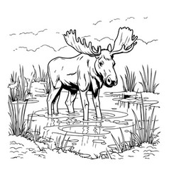 Moose In The Pond