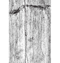 Vertical Dry Wood