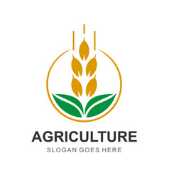 Agriculture Wheat Farm Logo