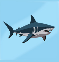 Great White Shark