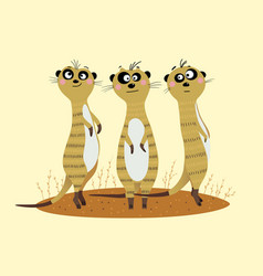 Three Cute Meerkats Standing On Sand