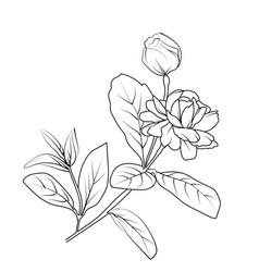 Simple Jasmine Flower Tattoo Minimalist