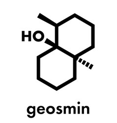 Geosmin Earthy Flavor Molecule Responsible