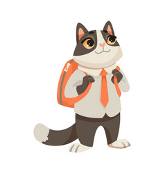 Cat Student Standing With Backpack Studying