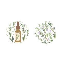 Rosemary Essential Oil Circle Emblem Isolated