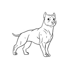 Pit Bull Isolated Coloring Page For Kids