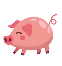 Cute Pig Animal