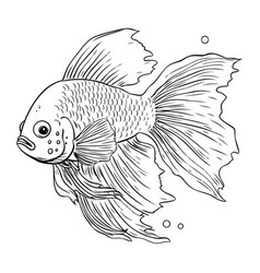 Black And White Of A Goldfish Isolated