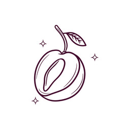 Hand Drawn Plum Doodle Sketch