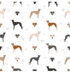 Spanish Greyhound Seamless Pattern All Coat