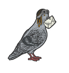 Homing Carrier Pigeon Color Sketch