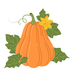 Pumpkin With Vines Flower And Leaves