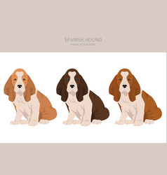 Spanish Hound Puppies Clipart All Coat Colors Set