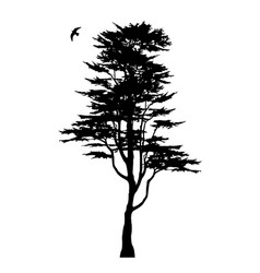 Tree Silhouette And Eagle Isolated On White