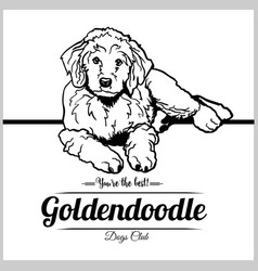 Goldendoodle Dog - For T-shirt